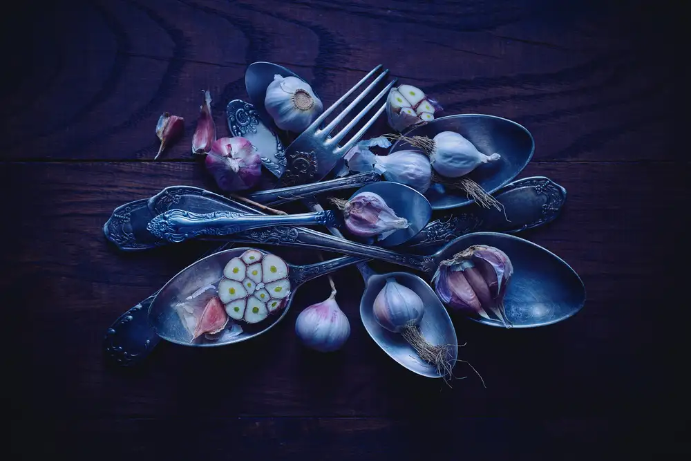 Karina, Aleksandrova: Spoons&Garlic