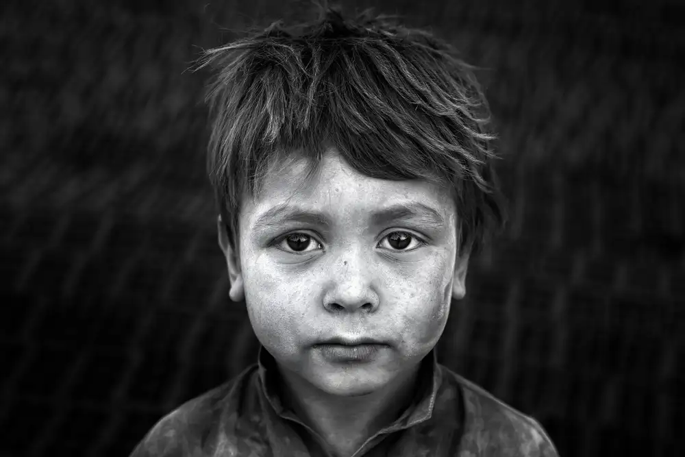 Momeni, Mohammadreza: No name
