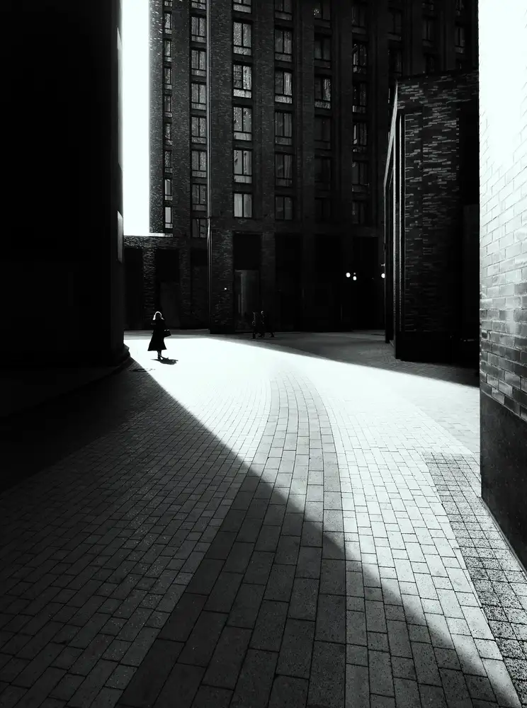 Makunin, Maxim: Light inside the shadow.