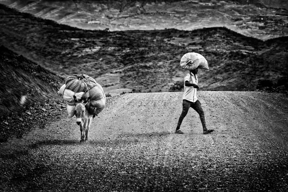 Cavalli, Giovanni: Carriers
