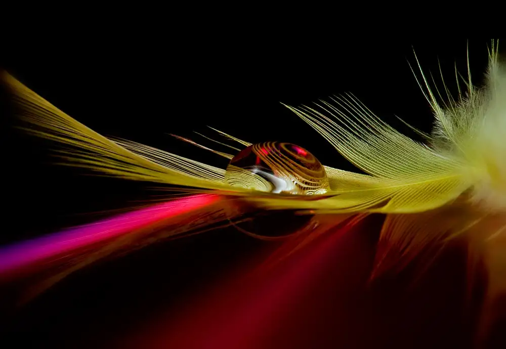 Ianeva, Aida: Colors in the drop