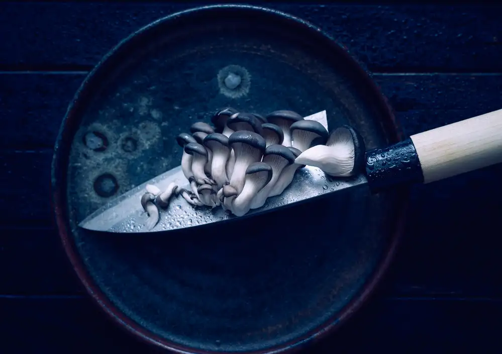 Karina, Aleksandrova: on the blade...