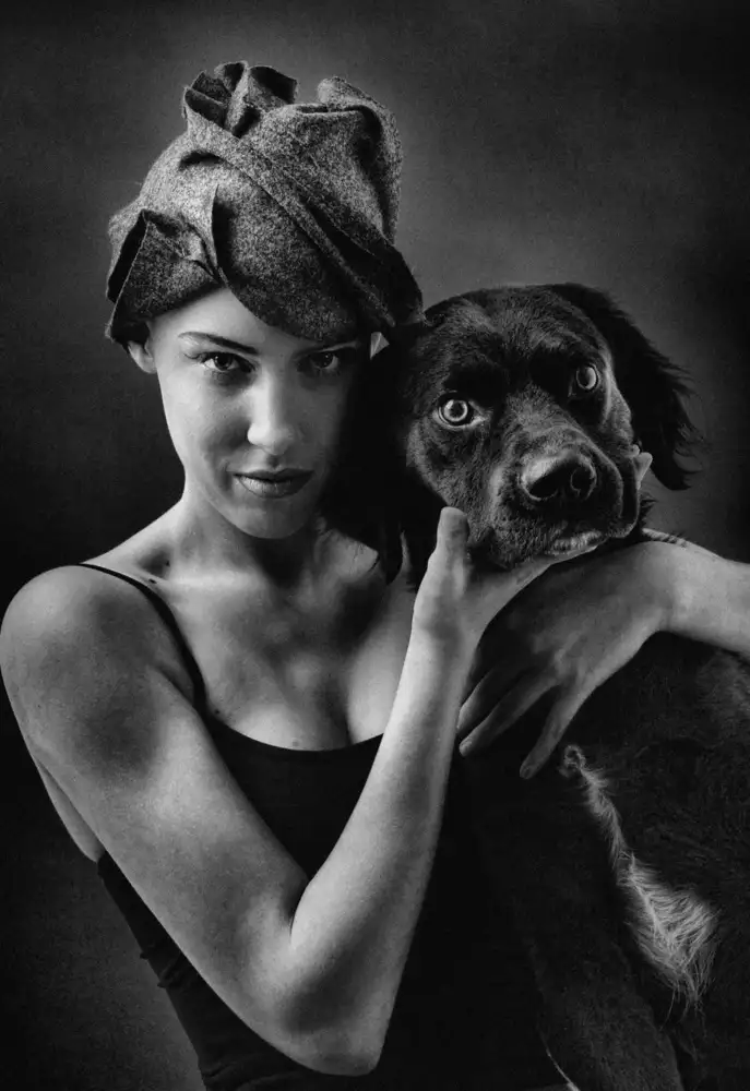 Affolti, Giordano: Portrait Dog