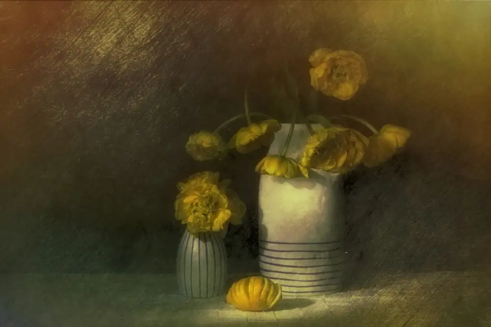 Dingemans, Saskia: Sogno di fiori