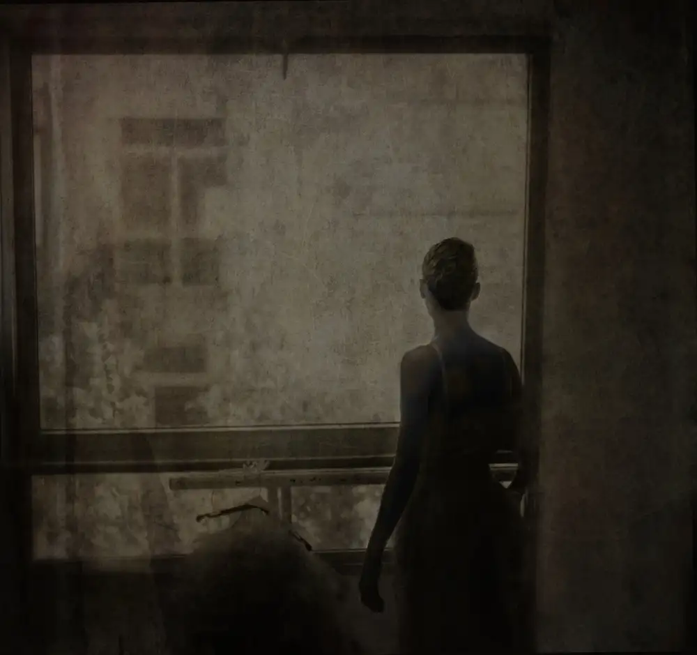 Pansky, Rachel: Hinter dem Fenster