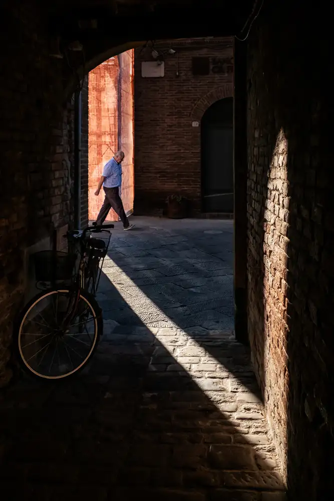 Domenichi, Luca: passage