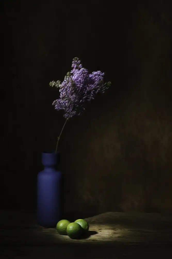 Dingemans, Saskia: Printemps