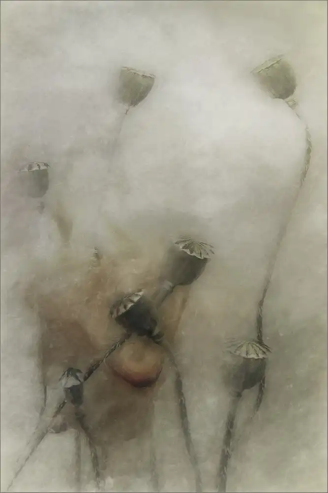 Claes, Gilbert: hopeful future