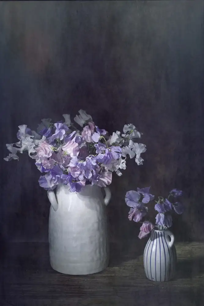 Dingemans, Saskia: Lathyrus éthéré