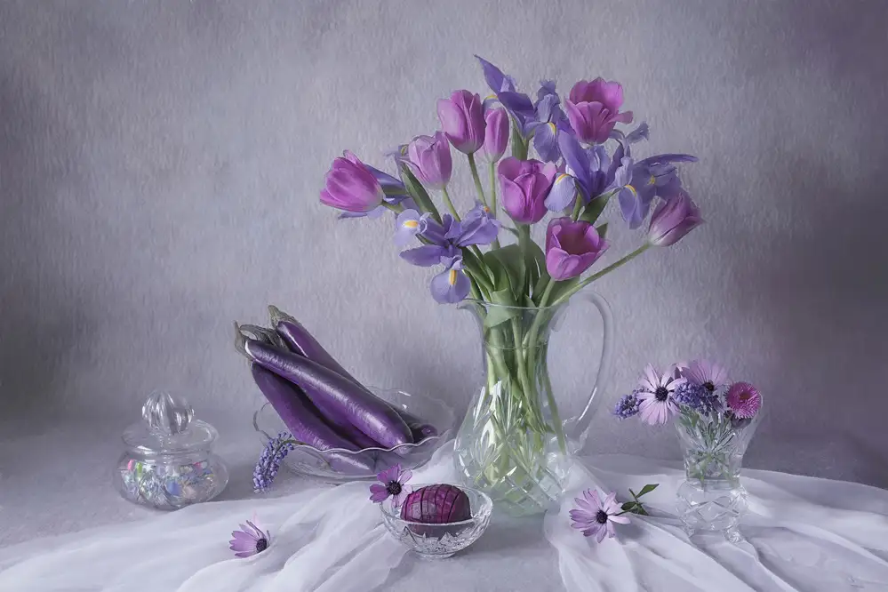 Jacobs, Lydia: Delizia Viola