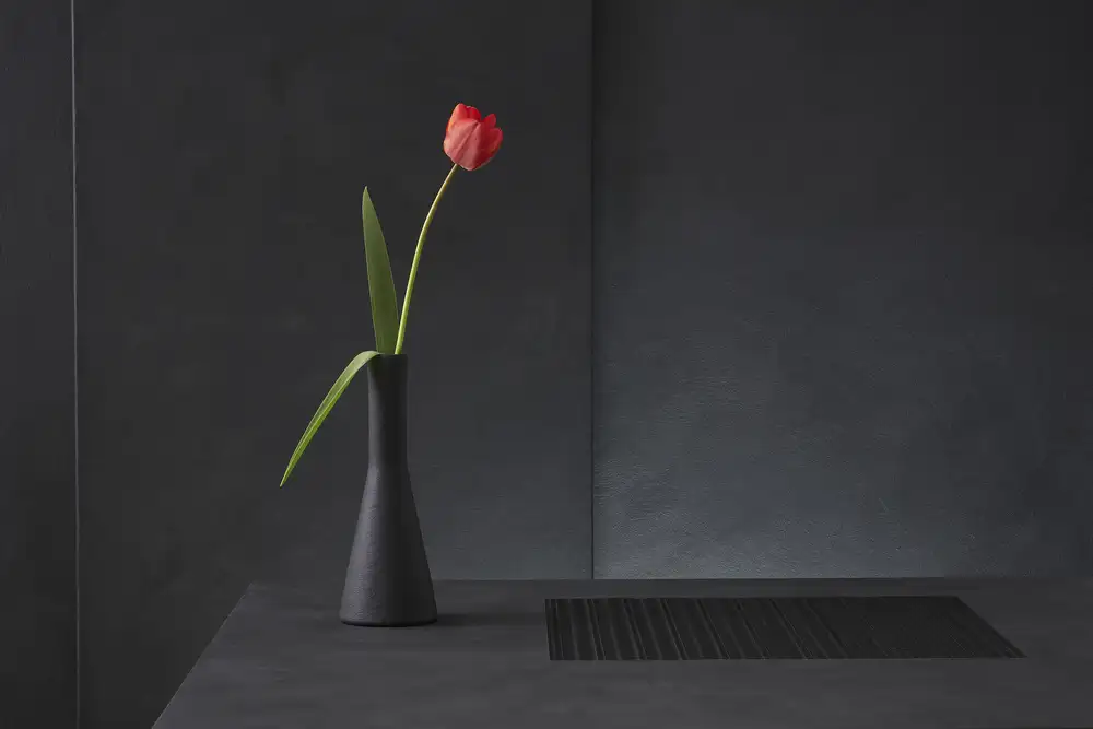 Verot, Christophe: Tulipa Gesneriana