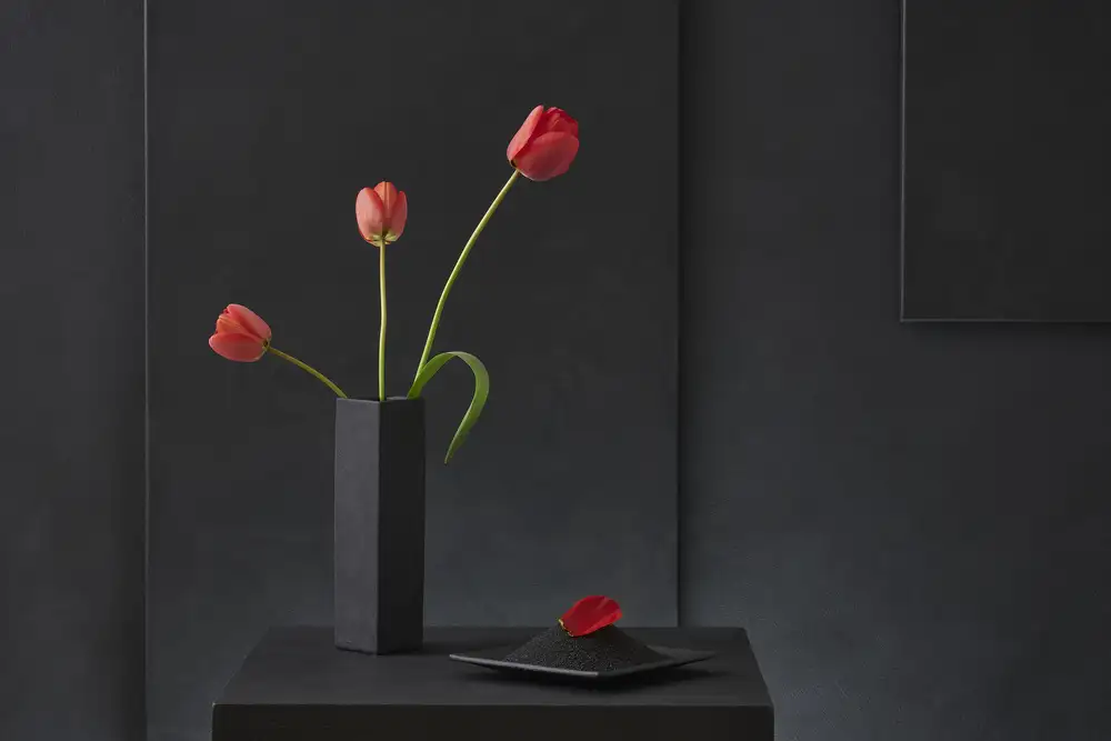 Verot, Christophe: Tulipa Gesneriana Nr. 2