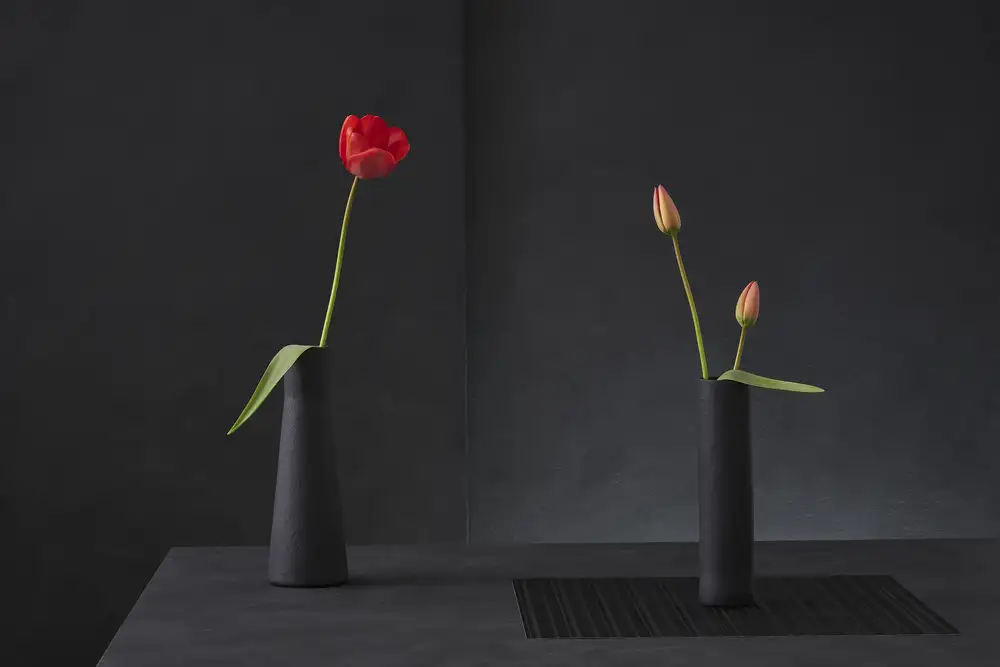 Verot, Christophe: Tulipa Gesneriana Nr. 3