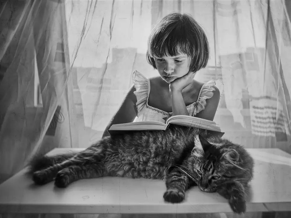Cinteza, Marius: Reader