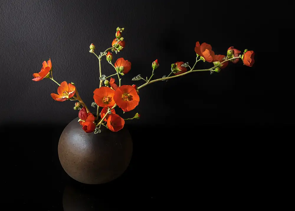 Poreider, Annie: Blühende Wildblumen