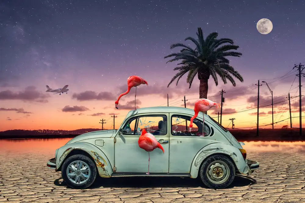 Marcel, Christian: Flamingos haben mein Auto gefressen