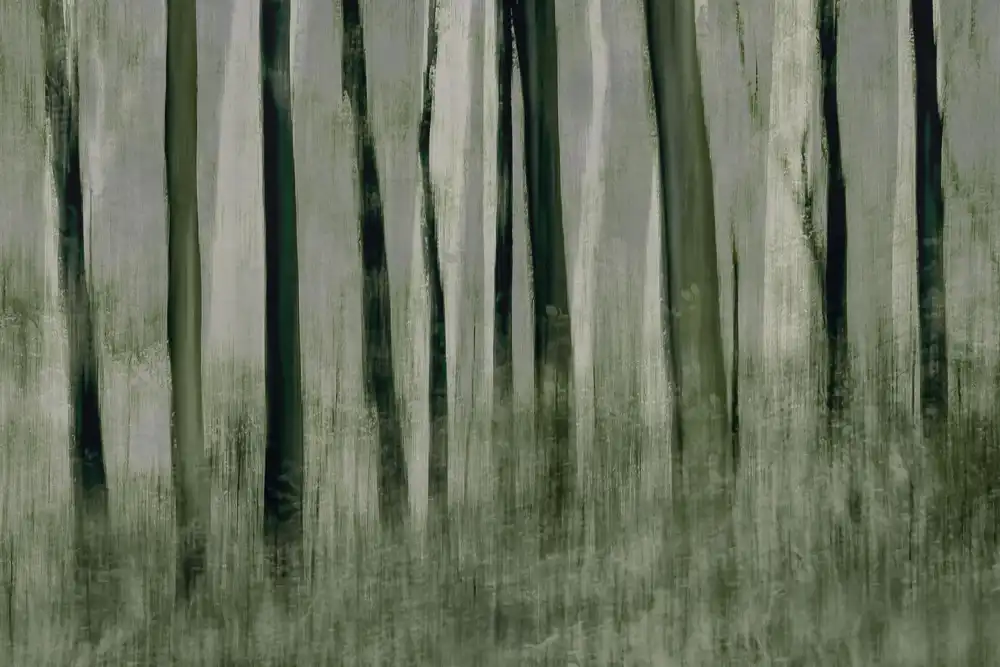 Talen, Nel: Trees in motion