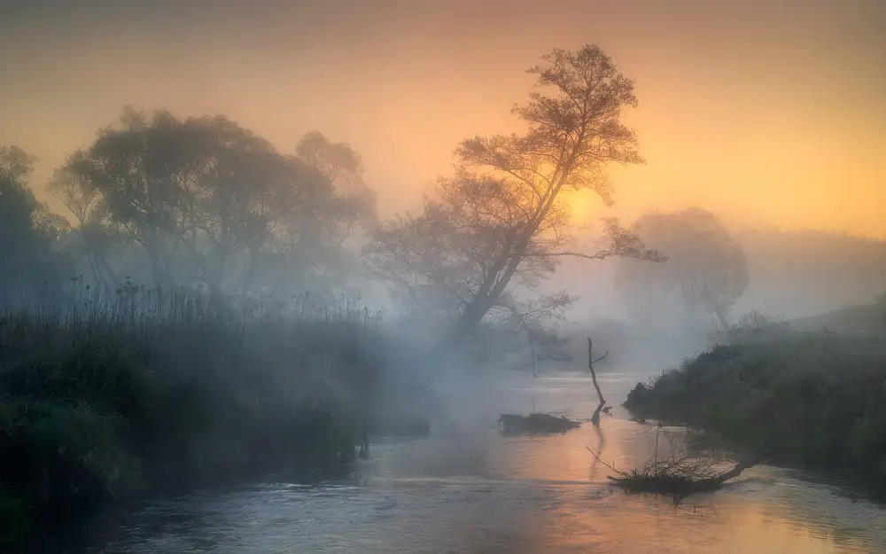 Rojek, Tomasz: Misty river