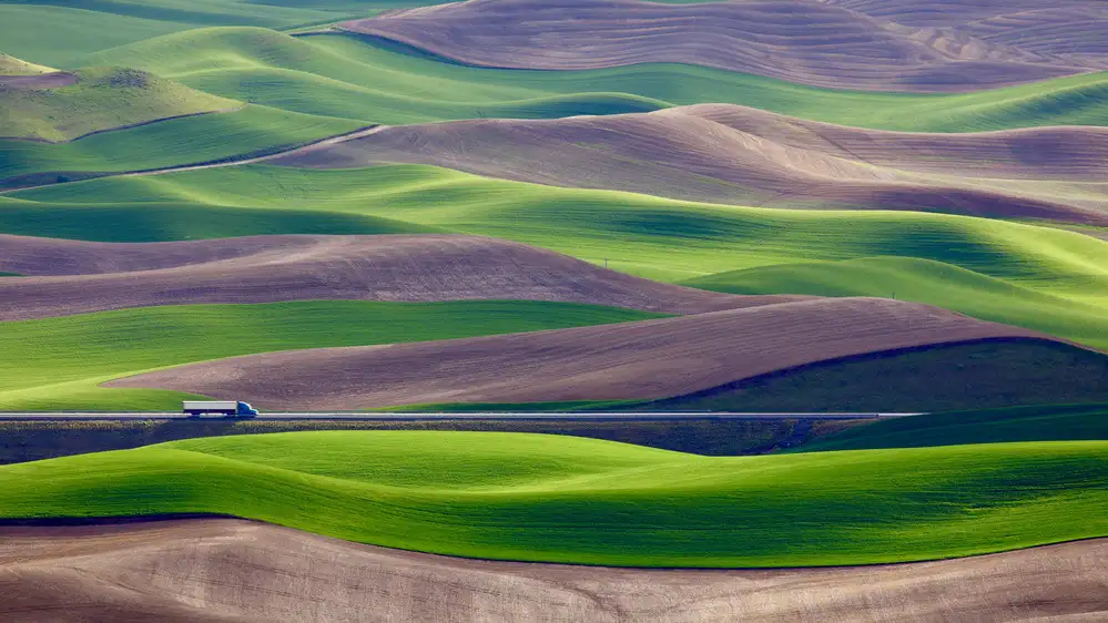 Gao, Danny: Driving in the wheat field at Palouse