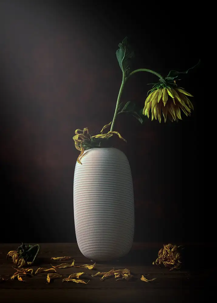 Poreider, Annie: Flétri au soleil