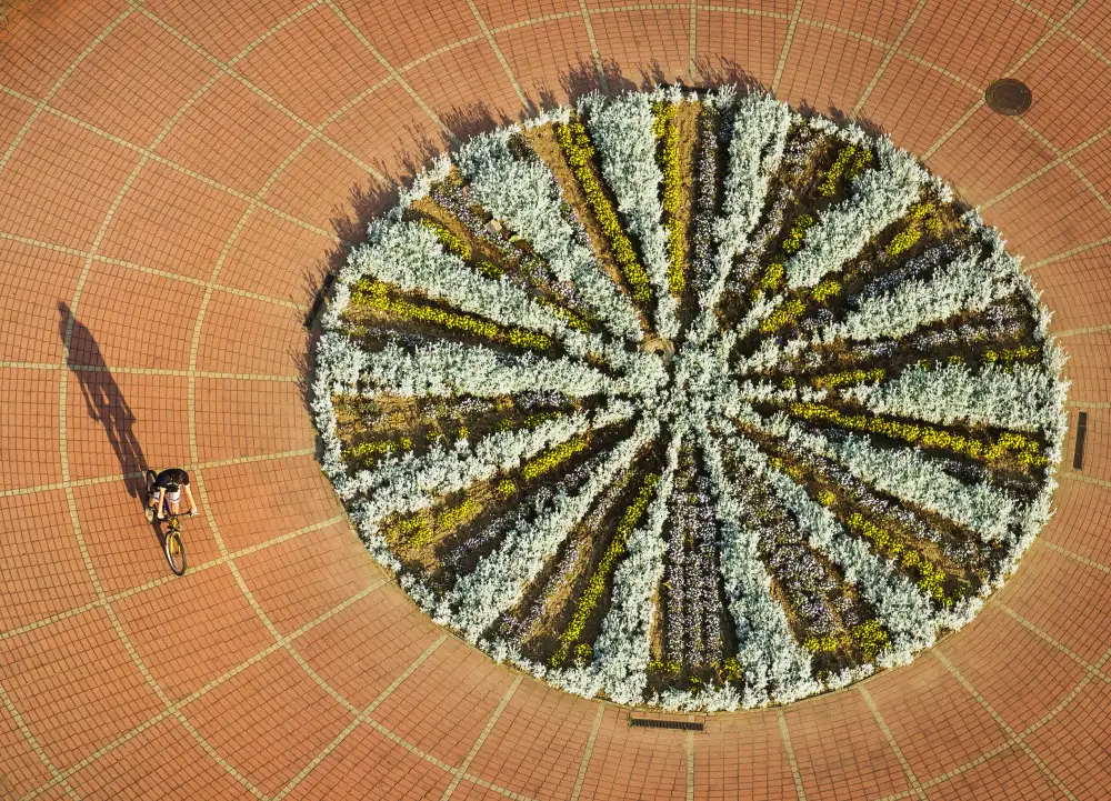 Szabolcs, Hober: Round and round