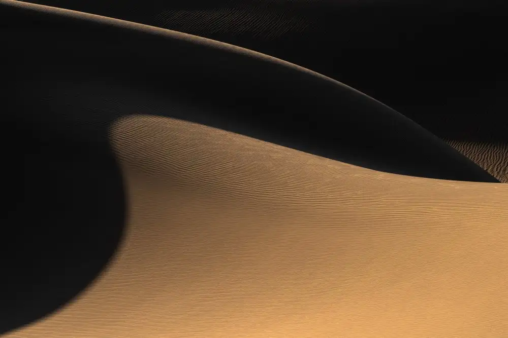 Jamshidian, Hamid: The desert II