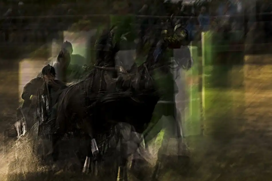 Malovrh, Milan: Marathon en couple de chevaux