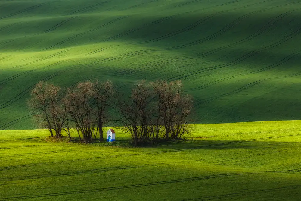 Rojek, Tomasz: The chapel...