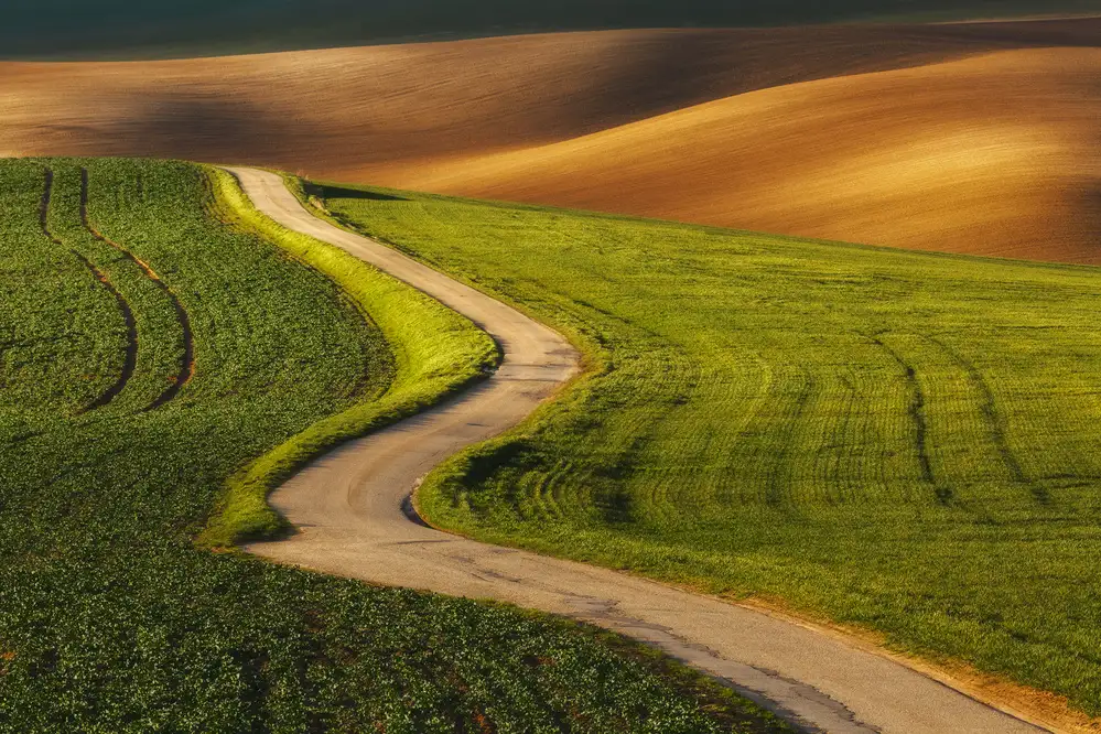 Rojek, Tomasz: My path