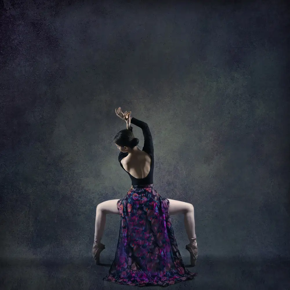 Hasheminasab, Moein: La ragazza e la danza