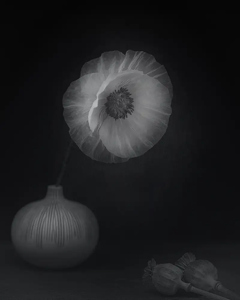 Grønkjær, Lotte: Amapolas y jarrón