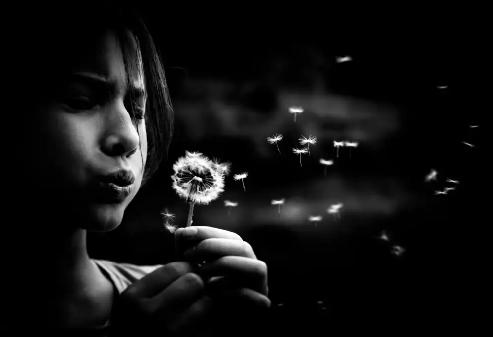 Kleimann, Stephanie: Dandelion in the air
