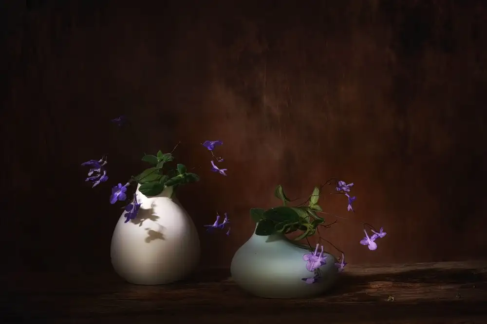 Dingemans, Saskia: Printemps