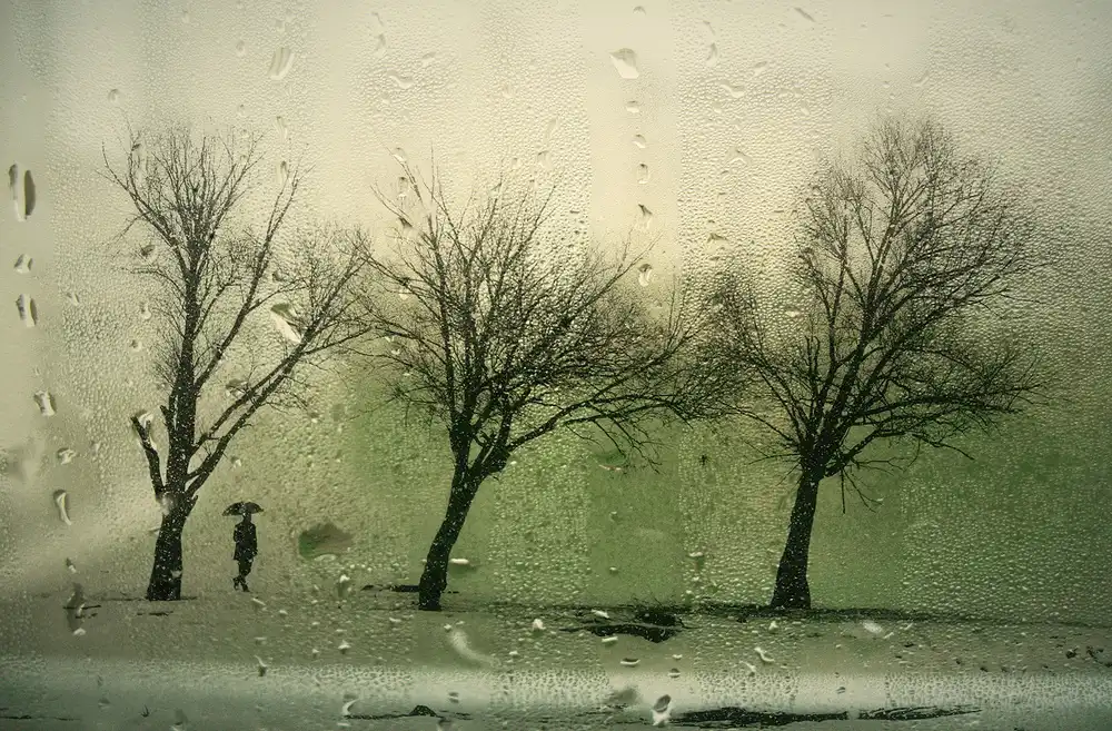 Basa, Emine: RAIN