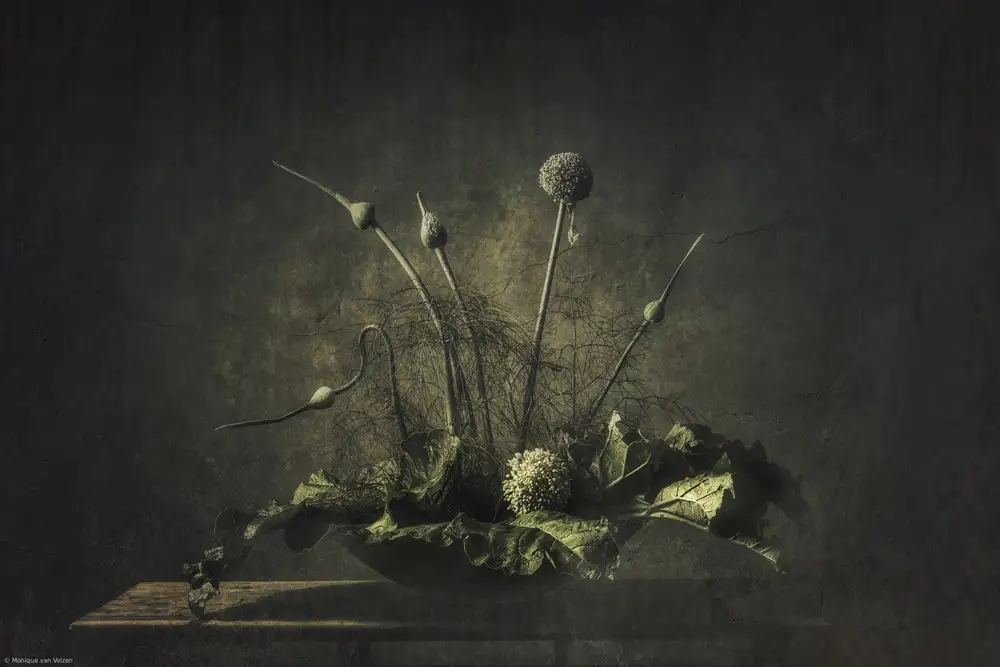 Velzen, van Monique: Still life vegetable