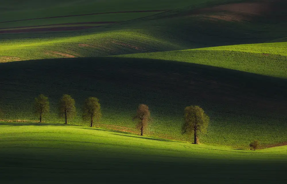 Rojek, Tomasz: The family II