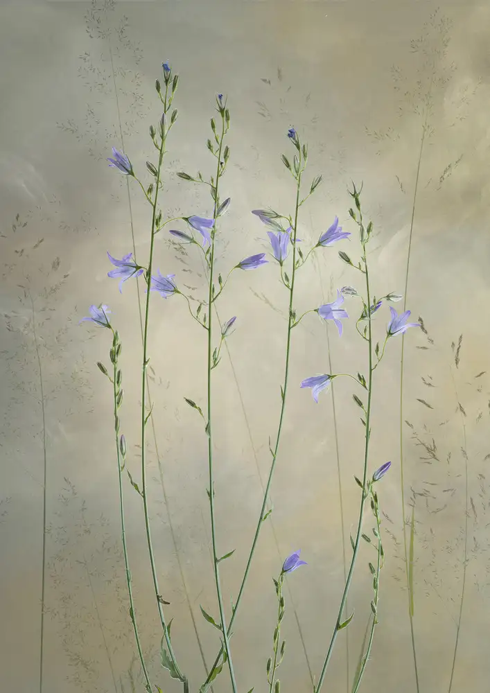 Son, van Greetje: Hermosa naturaleza
