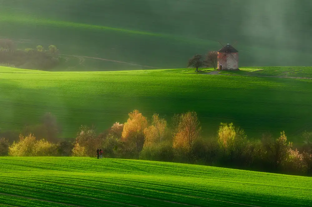 Rojek, Tomasz: Millwind