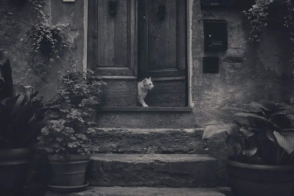 Anton, Rostovskiy: awaiting guests