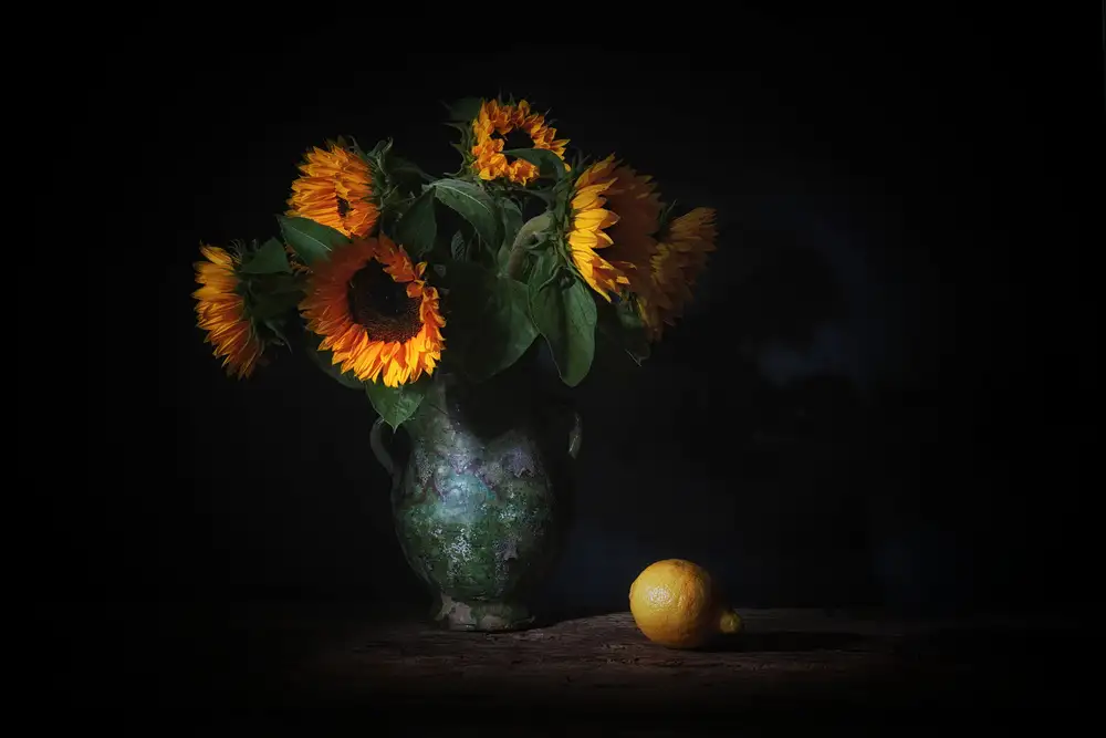Dingemans, Saskia: Der Geruch des Sommers