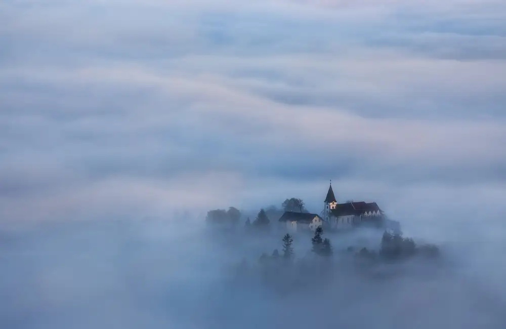 Rojek, Tomasz: The island