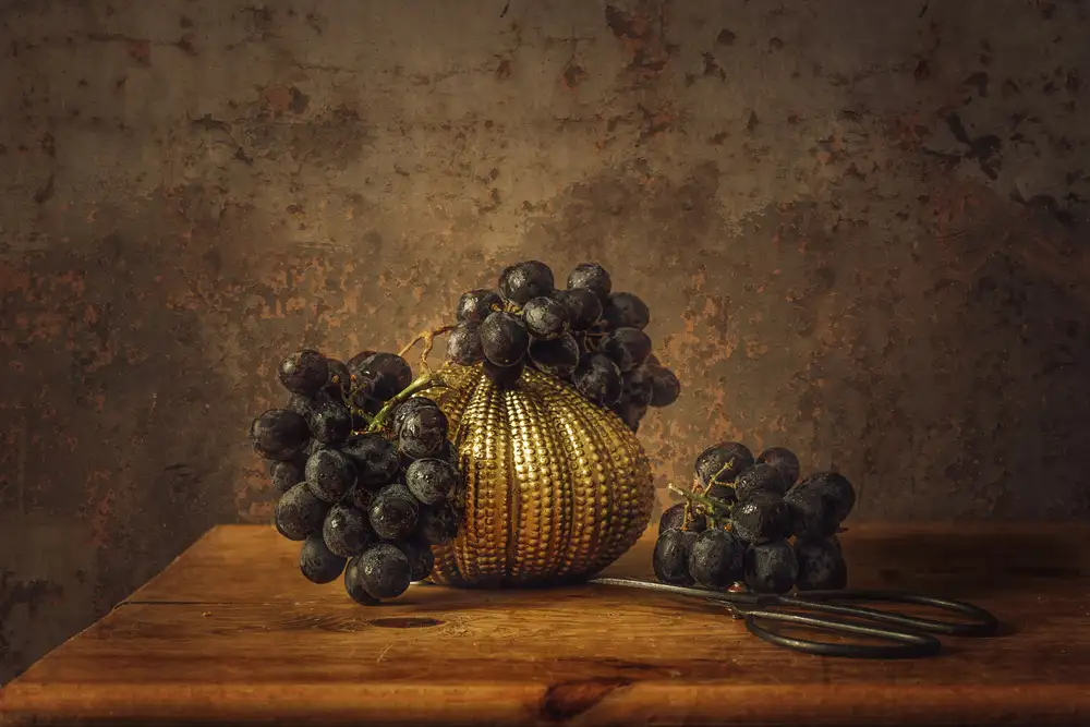 Velzen, van Monique: Still life Sable grape
