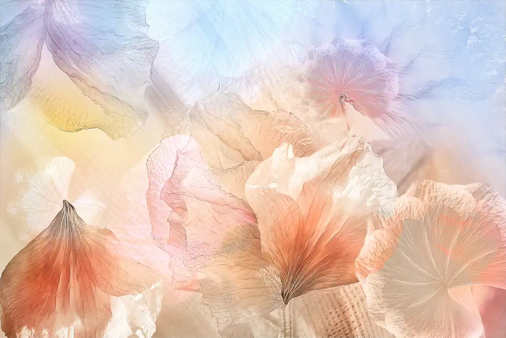 Shumilova, Ludmila: Ethereal flowers