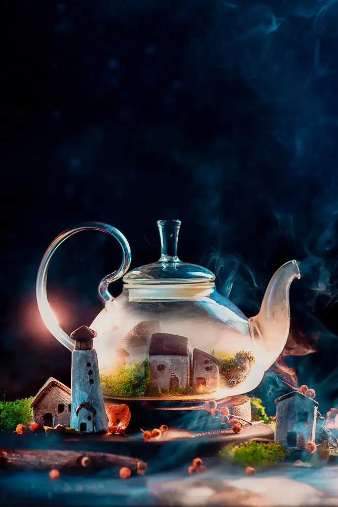 Belenko, Dina: Warm and Coziness Magic