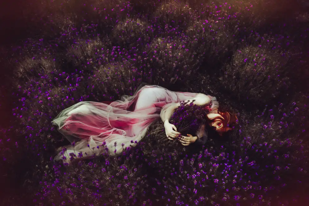 Bolgov, Axe Ruslan: Lavender Dream
