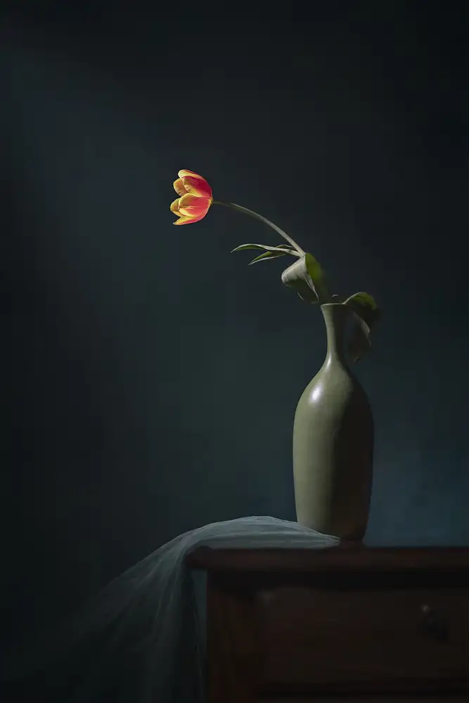 Jacobs, Lydia: Un tulipano arancione