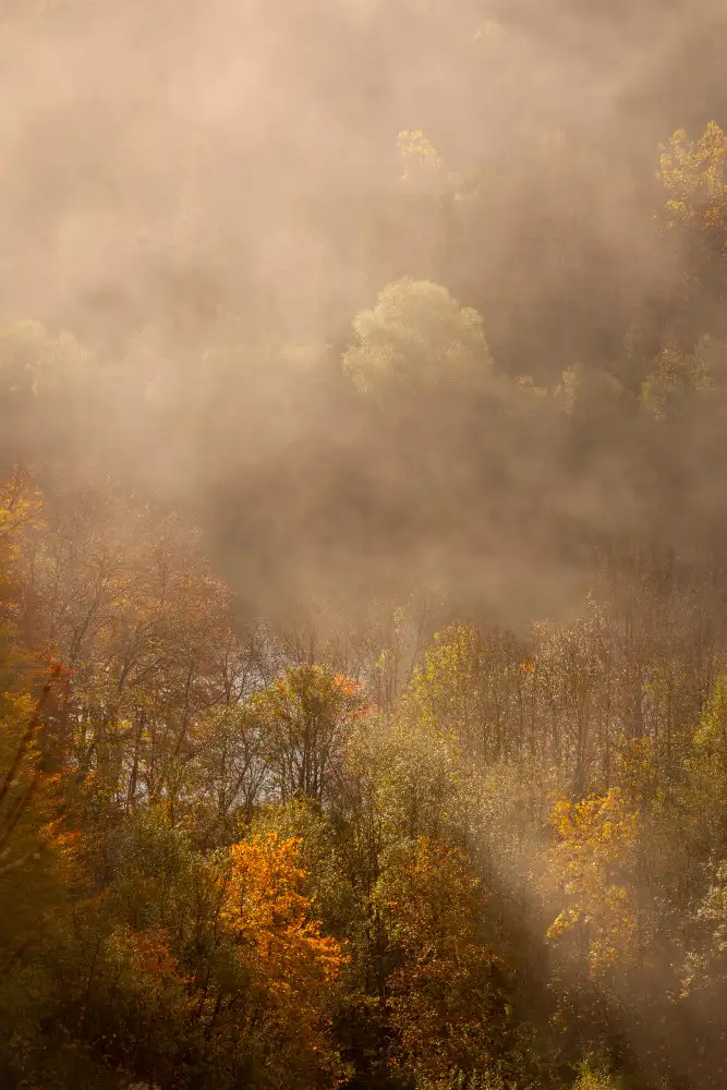 Maier, Norbert: Morgennebel