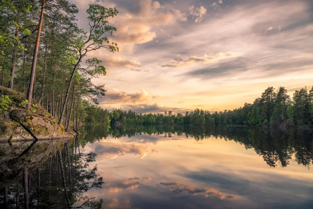 Lindsten, Christian: Lake tarmsjön, Sweden