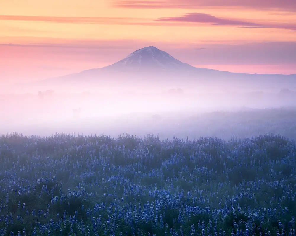 Gastager, Daniel: Iceland - Morning Calmness