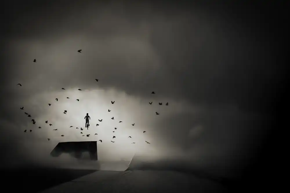 Keller, Nic: leap to freedom....